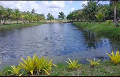 Imagem: A fazenda possui 360.000m² de Área e está localizado em