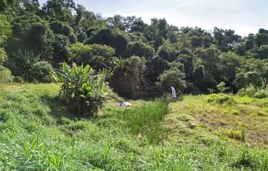 Imagem 3: Terreno residencial para venda em Jardim Paulista , 615m²