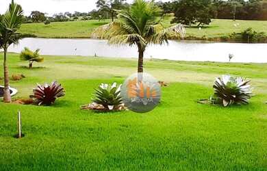 Imagem 4: Fazenda à venda, 205 alqueires por R$ 60.000.000 - Jaraguá/GO