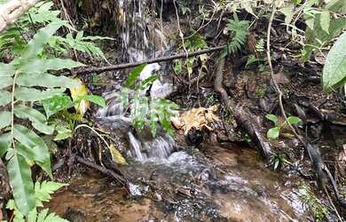 Imagem 8: Fazenda/Sítio/Chácara para venda tem 288000 metros quadrados