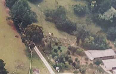 Imagem 13: Chácara com 3 dormitórios, 6000 m² - venda por R$ 6.000.000,00 ou aluguel...