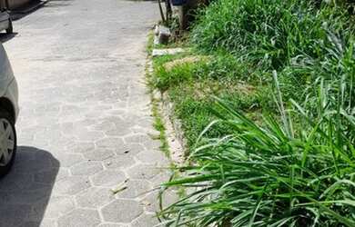 Imagem 4: Carmen Imóveis Vende Terreno Serra do Piloto