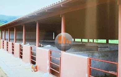 Imagem 2: Fazenda à venda, 205 alqueires por R$ 60.000.000 - Jaraguá/GO