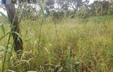 Imagem 7: Lote em Condomínio Fechado para Venda em Brasília, Setor Habitacional...