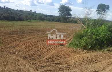 Imagem 8: FAZENDA 102 ALQUEIRES (493 hectares) BOM JARDIM DE GOIÁS - GO