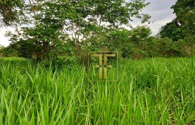 Imagem 7: Fazenda 254 Alqueires Mundo Novo, GO