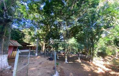 Imagem 14: Chácara com 3 dormitórios à venda, 18871 m² por R$ 1.350.000,00 -...