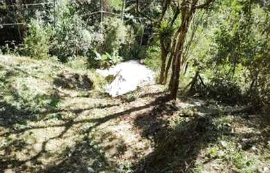 Imagem 8: Vendo Maravilhoso Terreno