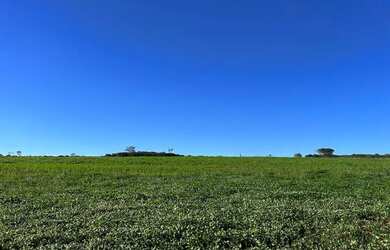 Imagem 1: Fazenda 203 Hectares Leopoldo De Bulhões GO