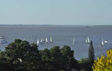 Imagem 8: CASA DE REVISTA NA VILA ASSUNÇÃO COM VISTA PARA O GUAÍBA C/ 347 metros quadrados com 2 SUÍ