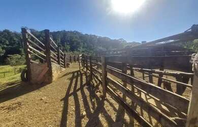 Imagem 10: 08 Alqueires, Rica em Água, Bela Vista Goiás- Goiás