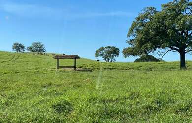 Imagem 6: Fazenda 302 alq. Em são Luiz Goiás e Ivolândia, valor 75 milhões