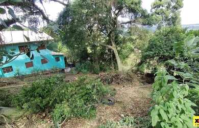 Imagem 5: Terreno para Venda em Nova Petrópolis, Pinhal Alto