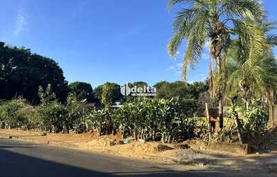 Imagem 9: Área disponível para venda no bairro Chácaras Tubalina E Quartel em...