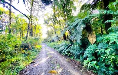 Imagem 10: A venda terreno de 7.620m², localizado em Canela