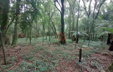 Imagem 5: Terreno à Venda em Canela