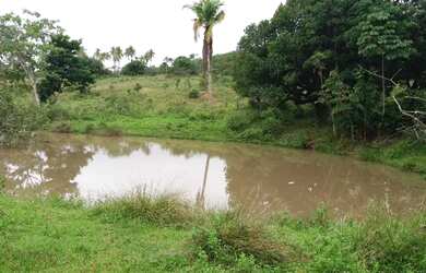 Imagem: A chácara possui 87.000m² de Área e está localizado em