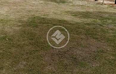 Imagem 4: Santa Cruz de Goiás - Fazenda de 22 Alqueires codigo 129734