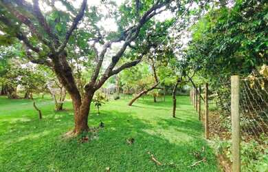 Imagem: A fazenda possui 373m² de Área e está localizado em Sitios