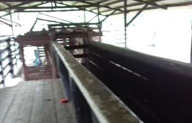 Imagem 11: R$ 20 milhões 1107 hectares pronta e 100 documentada aceita 50 de entrada