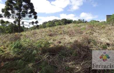 Imagem 3: Terreno à venda, 573 m² por R$ 197.000,00 - Jardim Viviane - Campo Magro/PR