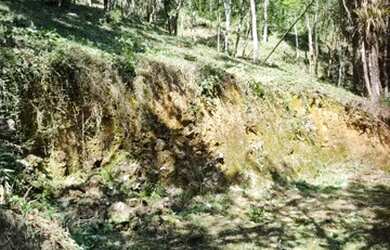 Imagem 2: Vendo Maravilhoso Terreno