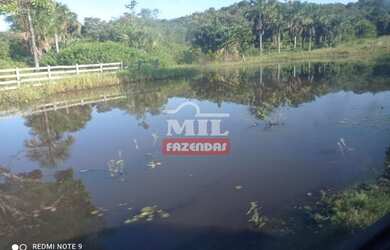 Imagem 3: FAZENDA 102 ALQUEIRES (493 hectares) BOM JARDIM DE GOIÁS - GO