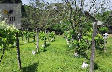 Imagem 11: Chácara com 3 dormitórios, 6000 m² - venda por R$ 6.000.000,00 ou aluguel...