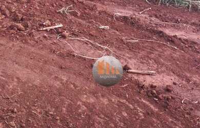 Imagem 15: Fazenda à venda, 644 alqueires por R$ 400.000.000 - Acreúna/GO