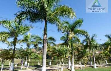 Imagem: O terreno possui 9.475m² de Área e está localizado em Salvaterra