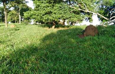 Imagem 14: Vendo Fazenda de 440 ha à 90 km Cuiabá - Rosário do Oeste MT(totalmene documenta e formada