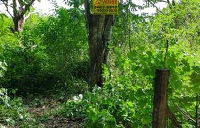 Imagem 3: Lote/Terreno para venda com 980M2 PLANO a 200 metros do asfalto