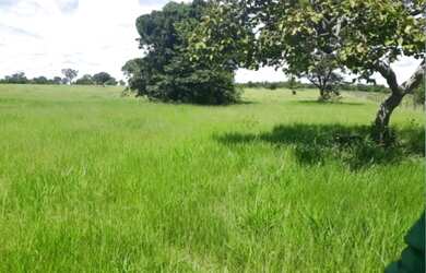 Imagem: A fazenda e está localizado em Canudos, Novo Hamburgo à venda