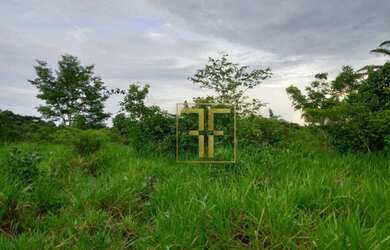 Imagem 2: Fazenda 254 Alqueires Mundo Novo, GO