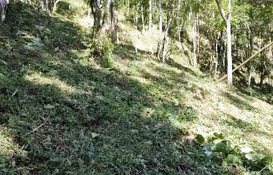 Imagem 12: Vendo Maravilhoso Terreno