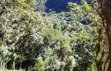 Imagem 3: Vendo Maravilhoso Terreno