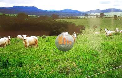 Imagem 8: Fazenda à venda, 205 alqueires por R$ 60.000.000 - Jaraguá/GO