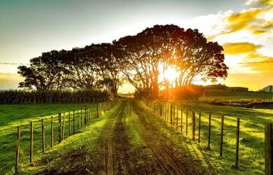 Imagem: O terreno está localizado em Atalaia, Aracaju à venda por