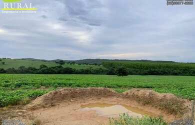 Imagem 16: Fazenda de 308 alqueires em Santa Cruz de Goiás