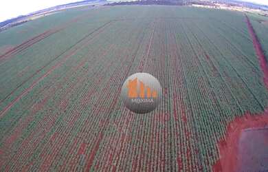 Imagem 4: Fazenda à venda, 644 alqueires por R$ 400.000.000 - Acreúna/GO