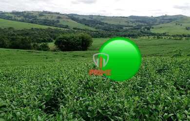 Imagem 3: Sítio à venda 17 Alqueires por R$ 2.500.000 - Rural - Jataizinho/Paraná