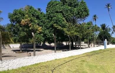 Imagem 4: Venha se apaixonar pelas belezas naturais de Barra de Mamanguape/PB!!