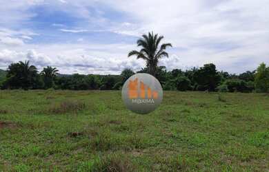 Imagem 4: Fazenda à venda, 100 alqueires por R$ 12.000.000 - Fazenda Nova/GO