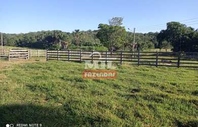 Imagem 1: FAZENDA 102 ALQUEIRES (493 hectares) BOM JARDIM DE GOIÁS - GO