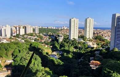 Imagem 5: Apartamento com 270m2 à Venda Horto Florestal -Salvador Bahia