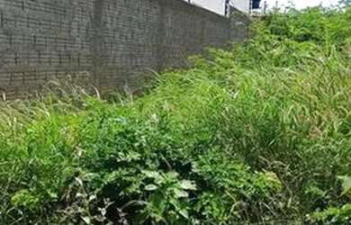 Imagem: O terreno possui 50m² de Área e está localizado em Pau da