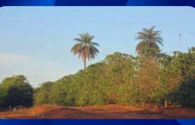 Imagem: A casa possui 1 Dormitório, 1 Banheiro, 10m² de Área e está