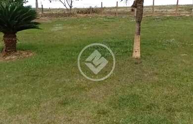 Imagem 8: Santa Cruz de Goiás - Fazenda de 22 Alqueires codigo 129734