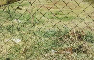 Imagem: O terreno possui 246m² de Área e está localizado em Vila