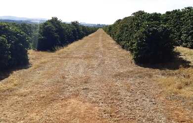 Imagem 15: Linda fazenda para venda em Três Corações - MG